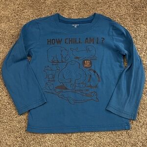 Carter's Teal Long Sleeve Kids Tee